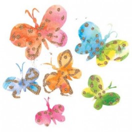  BUTTERFLY