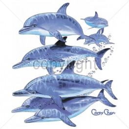 DOLPHIN POD (Y)